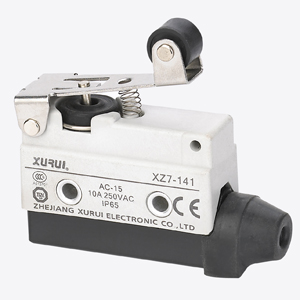 Micro Switch Supplier Recommend_Limit Switch